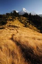 Mountains landscape, Poon hill, Nepal