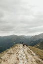 Mountains landscape view. High tatras. Beautiful summer mountains