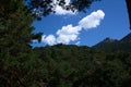 Mountains landscape view summersky trees nature outdoor natural enviroment