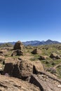 meadow against rock mount. Pyrenees