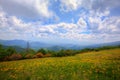 Mountains meadow