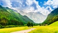 Mountains and meadow in Logarska dolina valley Royalty Free Stock Photo