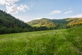 Mountains meadows forest valley