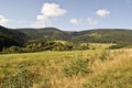 mountain meadow with trees and Ktalicky Sneznik mountain range on the background Royalty Free Stock Photo