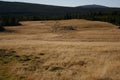 Mountains, meadows, summer. Royalty Free Stock Photo