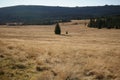 Mountains, meadows, summer. Royalty Free Stock Photo