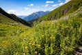 Mountains and meadows in summer panoramic beautiful landscape Royalty Free Stock Photo