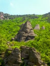 Mountains in the middle of the forest. the stone looks like a nose. Large rocks in the forest look like a nose.