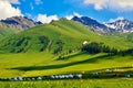 The mountains and mongolia yurts in summer grassland Royalty Free Stock Photo