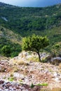 In the mountains of Montenegro Royalty Free Stock Photo