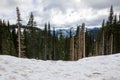 Mountains at Mount Rainier National Park in Washington State during Spring Royalty Free Stock Photo