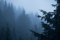 Mountains mysterious scenery, fog in the forest