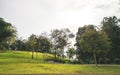 Mountains in the national park 001