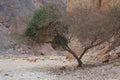 Mountains near Eilat, South Israel