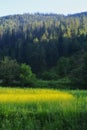 The mountains in Neelum valley Gurez Kashmir Royalty Free Stock Photo