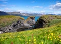 Mountains and ocean in the Iceland. High rocks and grass at the day time. Natural landscape at the summer.