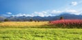 Mountains panorama Royalty Free Stock Photo