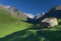 Mountains pasture