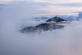 Mountains peak covered the early morning fog. Summer landscape. Beautiful sky and clouds. Natural landscape. Forest of the pine Royalty Free Stock Photo