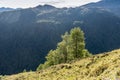 Mountains, peaks and trees landscape, natural environment. Timmelsjoch High Alpine Road Royalty Free Stock Photo