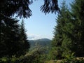 The mountains and pine forests