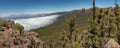 Mountains and pine tree forest near volcano Teide, partly covered by the clouds. Bright blue sky. Teide National Park, Tenerife, Royalty Free Stock Photo