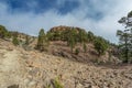 Mountains and pine tree forest near volcano Teide, partly covered by the clouds. Bright blue sky. Teide National Park, Tenerife, Royalty Free Stock Photo