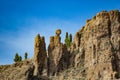 Mountains and pine tree forest near volcano Teide, partly covered by the clouds. Bright blue sky. Teide National Park, Tenerife, Royalty Free Stock Photo