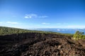 Mountains and pine tree forest, volcano Teide. National Park. Tenerife, Canary Islands Royalty Free Stock Photo