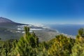 Mountains, pine trees forest above the clouds. Panoramic View of La Orotava valley and north coast line on Tenerife. 2000m Royalty Free Stock Photo