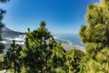 Mountains, pine trees forest above the clouds. Panoramic View of La Orotava valley and north coast line on Tenerife. 2000m Royalty Free Stock Photo