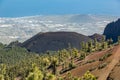 Mountains, pine trees forest above the clouds. Panoramic View of volcano Arafo and south coast line on Tenerife. 2000m altitude. Royalty Free Stock Photo