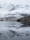 Portrait shot of a lake near Nusfjord Royalty Free Stock Photo