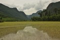 Mountains reflecting in rice paddies in Muang Ngoi, Laos Royalty Free Stock Photo