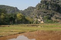 mountains and rice fields - north vietnam Royalty Free Stock Photo