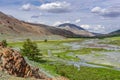 Mountains river valley flowers summer Royalty Free Stock Photo