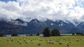 Mountains, rivers, clouds & sheep