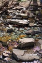 Mountains, Rivers, Rocks, Trees