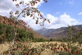 Mountains at the road to Kazarman, district of Jalal-Abad Region in western Kyrgyzstan