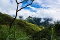 Mountains and scenery of Batad, Philippines Royalty Free Stock Photo