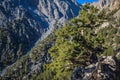 Samaria Gorge in Greece Royalty Free Stock Photo