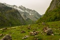 Mountains with snow, green water, green grass with stones and moss Royalty Free Stock Photo