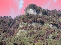 Mountains of stones and trees with pink sky