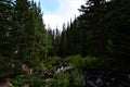 Mountains stream of RMNP near Estes Park Royalty Free Stock Photo