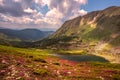 Mountains summer lake image, picturesque blooming pink flowers on slope of mountain at morning sunlight, breathtaking floral natur Royalty Free Stock Photo