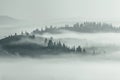 Mountains summer view, mysterious mist covered valley and hill in trees, breathtaking foggy scene, spectacular dawn nature image,