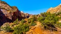 The mountains surrounding Zion Canyon viewed from the top of the Canyon Overlook Trail in Zion National Park, Utah Royalty Free Stock Photo