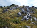 Mountains - Suva planina