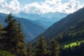 Mountains of Svaneti Geaorgia, forest in summer or autumn time