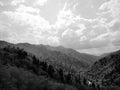 Mountains in tenn skies trees